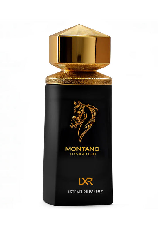 Montano Tonka Oud Extrait De Parfum 100MLTonka Oud — Eau de Parfum